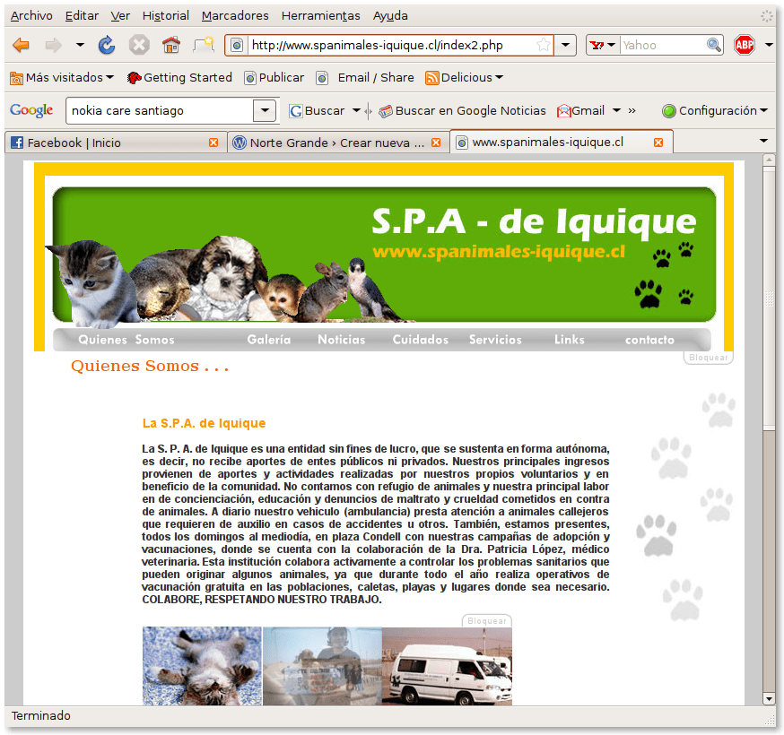 www.spanimales-iquique.cl