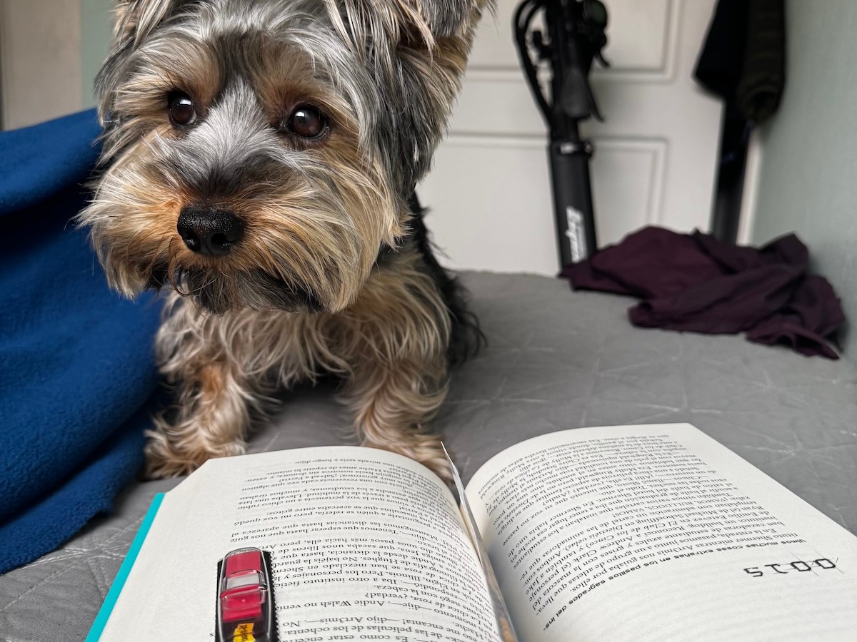 Reconectar con la lectura: el método de revisar tus libros del&nbsp;pasado