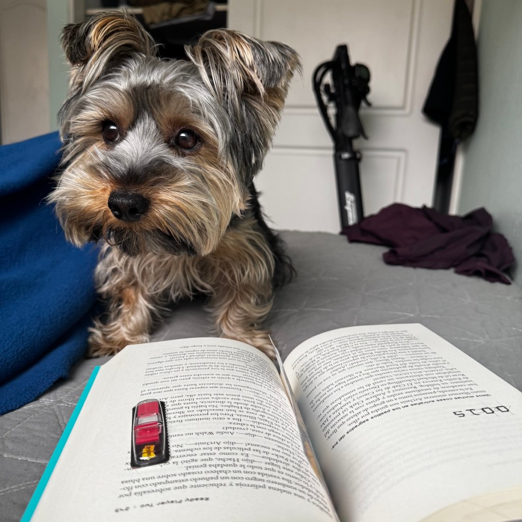 Reconectar con la lectura: el método de revisar tus libros del pasado