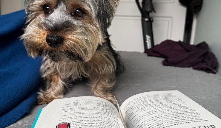 Reconectar con la lectura: el método de revisar tus libros del pasado